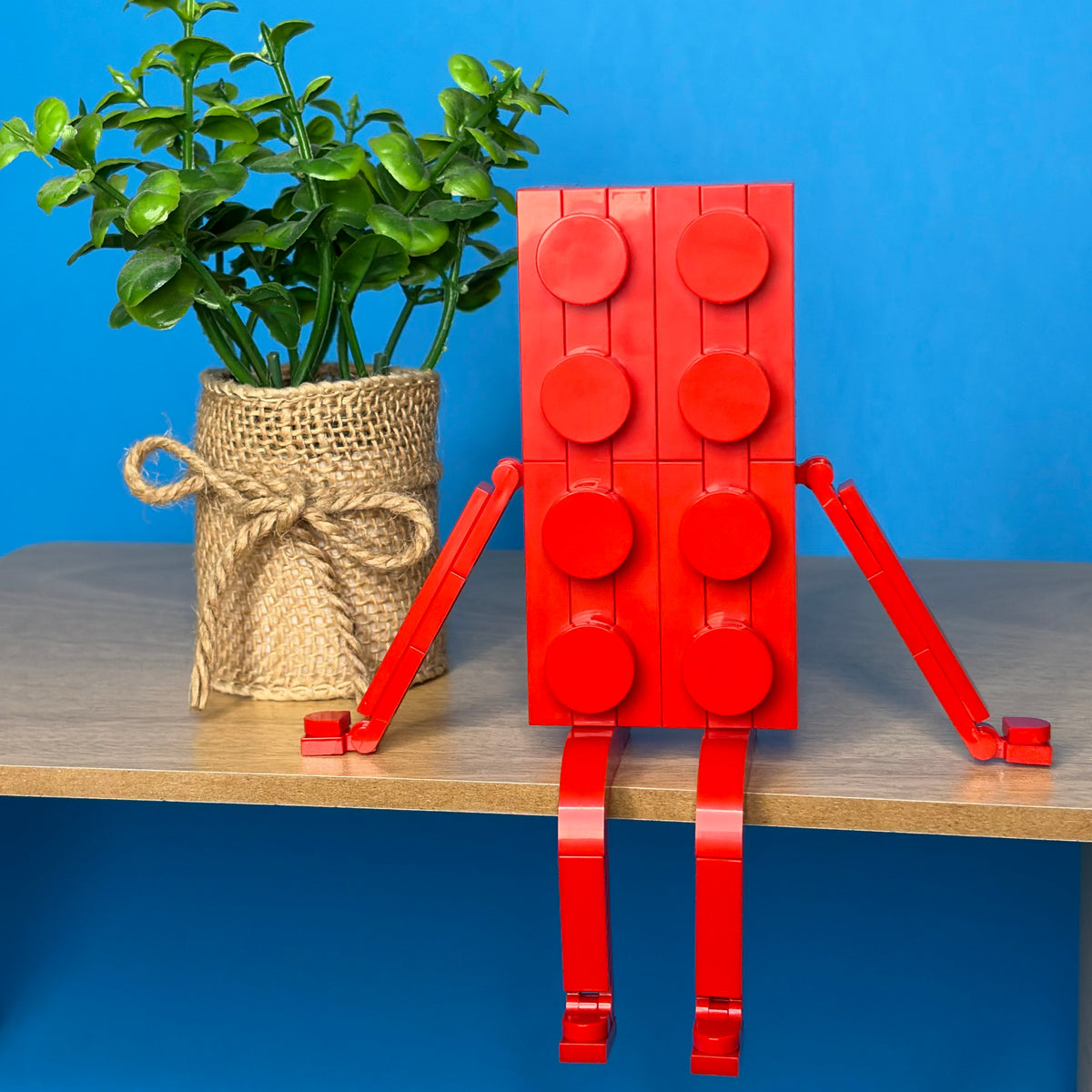 Brick On A Shelf Custom Building Set!